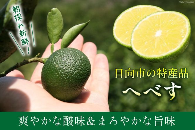 【期間限定発送】 へべす ひなたGAP認定 ふぞろい 2kg [へべすの悠美園 宮崎県 日向市 452060725] ヘベス 宮崎 果物 フルーツ くだもの 柑橘 ポン酢 調味料 果汁