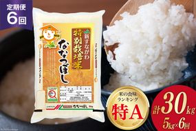 6回 定期便 JA新すながわ産 特栽米ななつぼし 5kg×6回 総計30kg [ホクレン商事 北海道 砂川市 12260659]