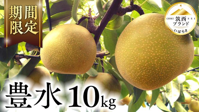 �y��錧�}���s�z�y JA �k���� �z �}���u�����h �F�ؕi �L�� 10kg 2026�N�Y ��s�\�� �� �ʕ� �t���[�c �Ȃ� �i�V �L���� �������� �f�U�[�g ��� [AE011ci]