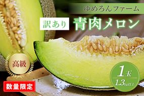 【先行予約／数量限定100】ゆめろんファームの青肉メロン（訳あり品）（2026年6月上旬～発送）　DE00156