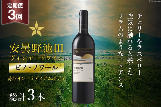 3回 定期便 赤ワイン サッポロ グランポレール 安曇野池田ヴィンヤード「ピノ・ノワール」750ml 総計3本 [池田町ハーブセンター 長野県 池田町 48110621] 赤 ワイン ミディアムボディ お酒 酒 ギフト プレゼント 贈答