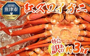 【特に訳あり】魚卸問屋のベニズワイガニ 約3kg｜ 魚介類 海の幸 海鮮 甲殻類 ボイル かに鍋 みそ汁 国産 富山県産 魚津市産 ※2025年9月下旬～2026年5月下旬頃に順次発送予定 ※北海道・沖縄・離島への配送不可