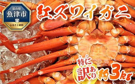 【特に訳あり】魚卸問屋のベニズワイガニ 約3kg ※2024年12月上旬～2025年5月下旬頃に順次発送予定 ※北海道・沖縄・離島への配送不可