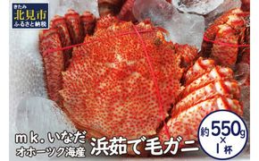 オホーツク海産 浜茹で毛ガニ 約550g×1杯 ( 海鮮 かに カニ 蟹 毛ガニ ボイル 贈答 ギフト )【113-0012】