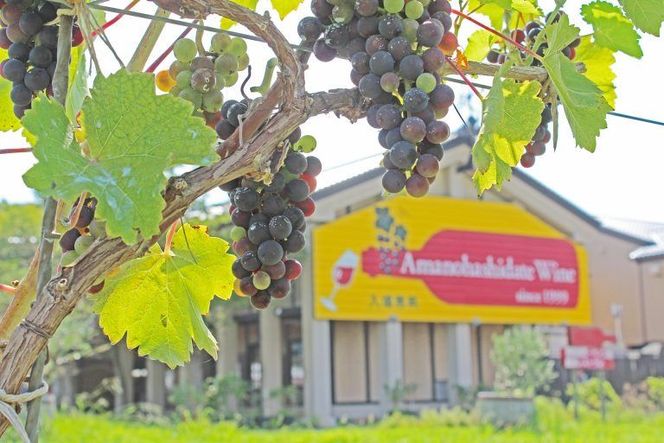 【天橋立ワイン】日本ワインコンクール受賞のワイナリーからお届け★京丹後産ぶどうを醸造した甘口の赤ワイン　2本セット　天橋立ワイン 飲料 アルコール ワイン 赤ワイン 葡萄 ぶどう ブドウ 2本 贈り物 贈答 贈答用飲料 アルコール ワイン 赤ワイン 葡萄 ぶどう ブドウ 2本 贈り物 贈答 贈答用　AW00010