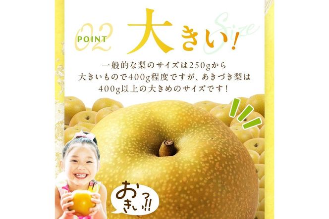 【先行予約／数量限定300】京丹後産 あきづき梨 5kg（8～12玉）（2026年9月中旬～発送）　DE00161