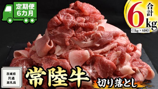 y錧vszy 6  zw 헤 x ؂藎Ƃ 1kg ( 500g × 2pbN )  Y   ؂藎Ƃ ؗ   A4 A5 uh јa a Yјa Y Ă ₫ ( 錧ʕԗi )