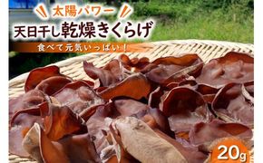 【太陽パワー】天日干し乾燥きくらげ 20g [山梨げんき農園 山梨県 韮崎市 20742269] 