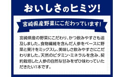 『Oh！宮崎　野菜ミックス』125ml×48本セット [F3015]