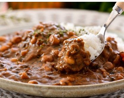 [H012] 能登産天然いのしし「のとししカレー」２個セット