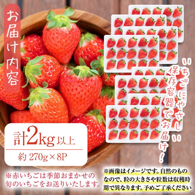 〈先行予約受付中！〉鹿児島県産いちご！ 品種おまかせ赤いちご8Pセット(計2kg・約270g×8P) c0-016