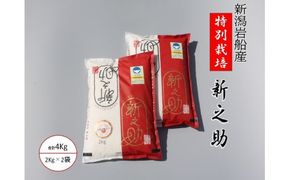 【令和7年産米】米の名産地 新潟県岩船産 特別栽培米 新之助 4kg（2kg×2袋） 1039014｜白米 食味鑑定士謹製 一等米 プレミアム米 新耕農産 ツヤツヤ 農家直送 低温倉庫保管 安心 安全 小分けサイズ こだわり