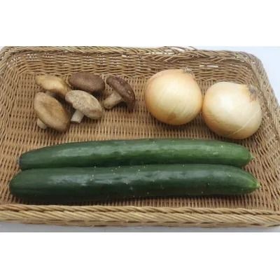 【定期便／3ヶ月連続お届け】春夏秋冬お楽しみ！むなかた旬のお任せセット(旬のフルーツ1品・野菜7～8品)【ほたるの里】_HB0031