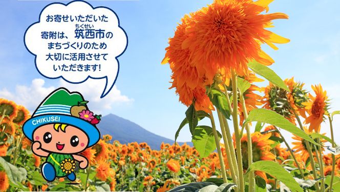 【返礼品なし】茨城県筑西市へのご寄附 100,000円[ZZ005ci]