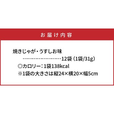 揚げないポテチ焼きじゃが12袋/うすしお味_0519Z