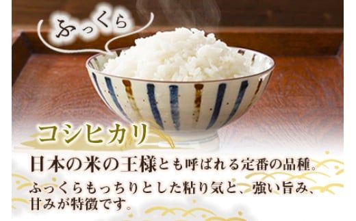 ＜令和6年度 特別栽培米「粋」コシヒカリ 5kg＞ ※入金確認後、翌月末迄に順次出荷します。【c854_kh_x5】 米 こしひかり