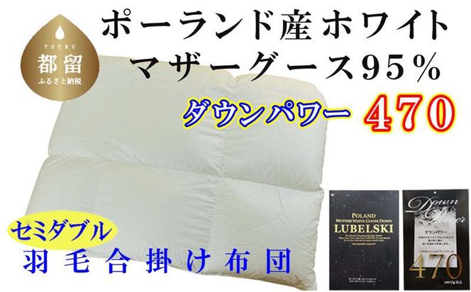 yRsszCK389 Hэ|zc|[hY}U[O[XXT | Z~_u170×210cm dp470