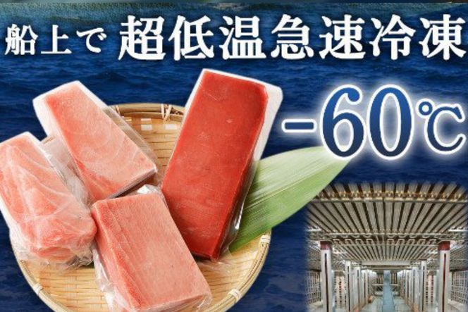 【定期便5回】厳選天然マグロ 堪能定期便 お楽しみ 【訳あり】 まぐろ 鮪 大トロ 中トロ 赤身 南マグロ めばちマグロ びんちょうマグロ 食べ比べ 刺身 刺し身 海鮮丼 寿司 魚 魚介類 冷凍 定期便 5回 ふるさと納税限定 送料無料　ge008