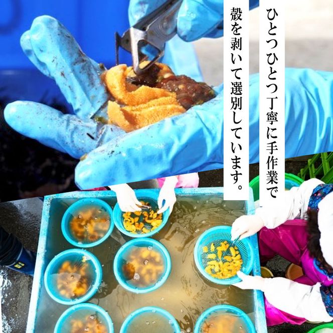 綾里おかぁの味 塩ウニ 60g 岩手県産 冷凍 無添加 ミョウバン不使用 ムラサキウニ [ryorigyo002_1]