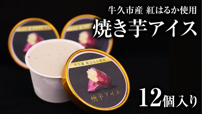 牛久市産 紅はるか 使用 焼き芋アイス 12個 入り アイスクリーム さつまいもスイーツ 焼き芋味 べにはるか 夏 アイス ギフト さつま芋 味 焼き芋 味 サツマイモ 冷凍 贈り物 [EJ009us]