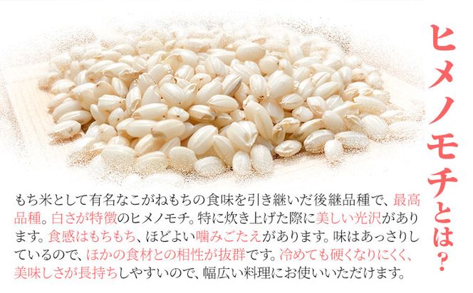 選べる 令和5年産 or 令和6年産 岡山県産 もち米 4.5kg（1.5kg×3袋）農事組合法人奥山営農組合《30日以内に出荷予定(土日祝除く)》 ひめのもち 餅 おこわ 餅つき 栗ご飯 イカ飯 赤飯 岡山県 笠岡市---O-04-R5---