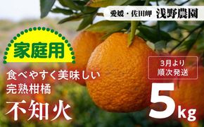 【先行予約】【家庭用】不知火 計5kg｜柑橘 みかん ミカン フルーツ 果物 でこぽん デコポンと同品種 愛媛 ※2025年2月上旬頃より順次発送予定 ※離島への配送不可