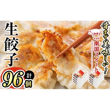 甘熟豚南国スイート生餃子(96個) p8-105