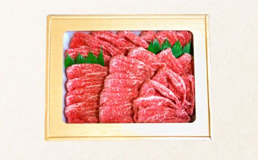 【3回定期便】長崎和牛 もも肉 400g / 南島原市 / はなぶさ [SCN076] 