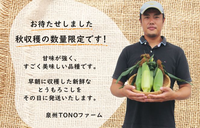 005A299 【先行予約】秋収穫！ゴールドラッシュ 7本セット とうもろこし