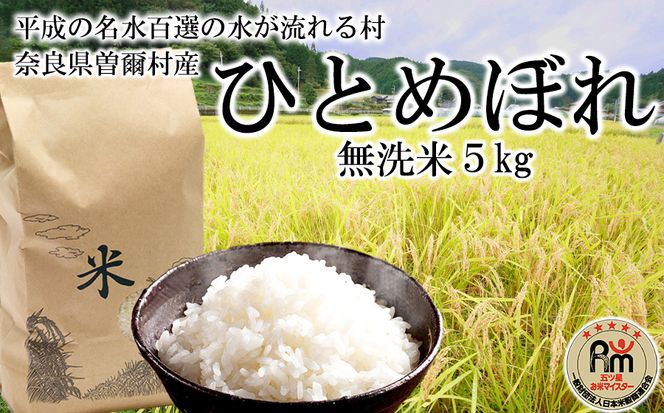 令和5年産 ひとめぼれ 無洗米 5kg /// 無洗米 ひとめぼれ 一等米 単一