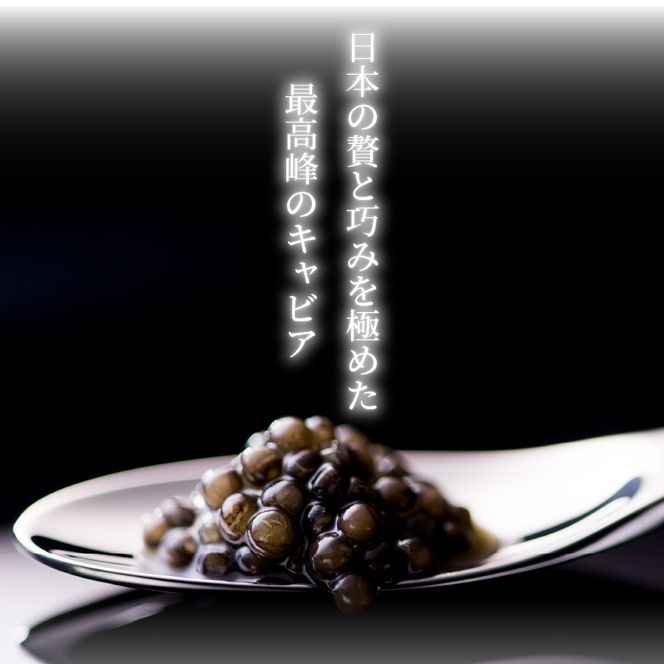 1983 J.CAVIAR BAERII CLASSIC30g×6個　N027-ZI021