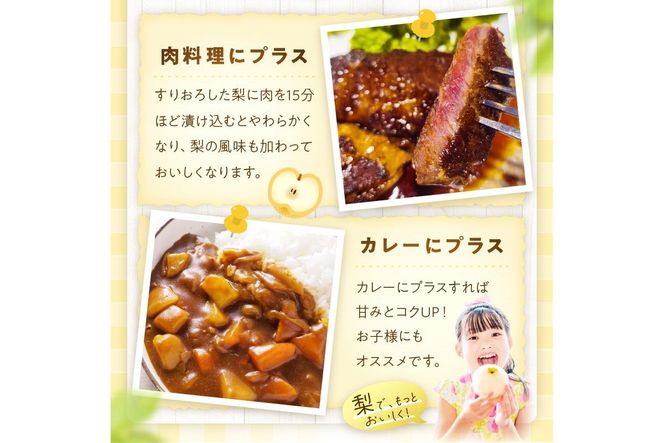 【先行予約／数量限定200】京丹後産 あきばえ梨 5kg（14～18玉）（2026年8月中旬～発送）　DE00162