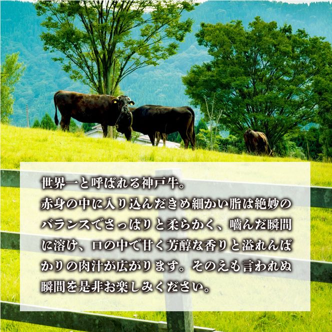 神戸牛サーロインステーキ（200g×1枚）