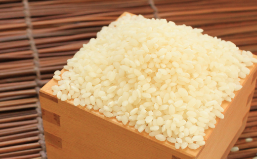 【先行予約・令和6年産新米】特別栽培米 夢つくし 4.5kg 《築上町》【Nouhan農繁】 米 白米 お米 [ABAU012]