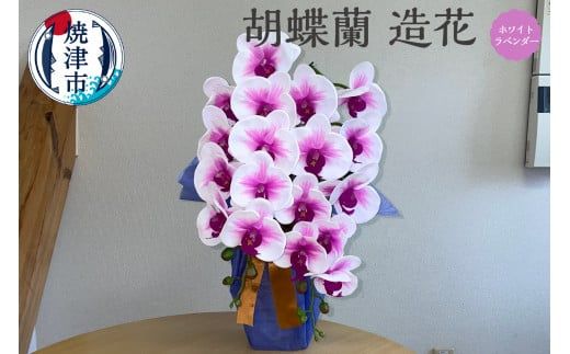 yÉĒÎsza23-019@Ӓ  2{ zCg^x_[