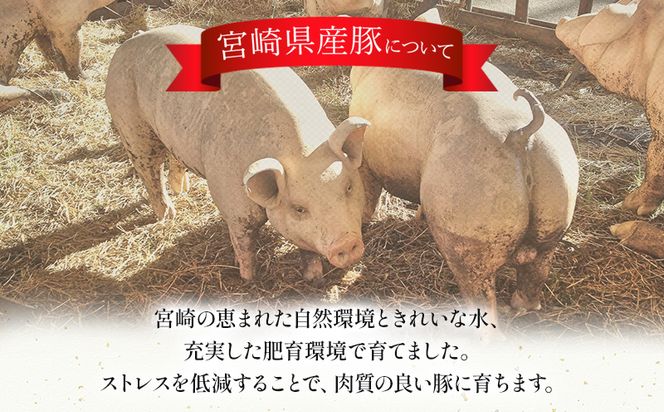 宮崎県産豚スライスセット　合計4kg_M180-009