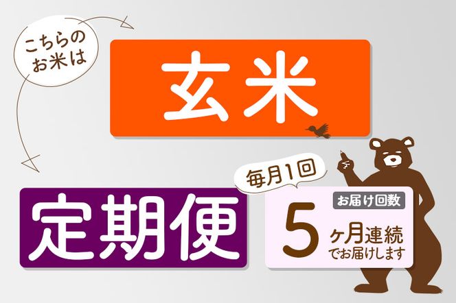 定期便5ヶ月》秋田県産 あきたこまち 10kg【玄米】(5kg小分け袋) 令和5