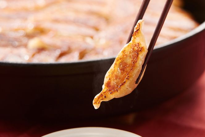 [博多鉄なべ餃子調味料セット] 餃子120個 & 博多うまポン300ml×1 & 博多うま柚子60g×1 / うまか堂本舗 / 福岡県 筑紫野市 [21760425] 餃子 ぎょうざ ポン酢 ぽん酢 柚子胡椒 柚子こしょう