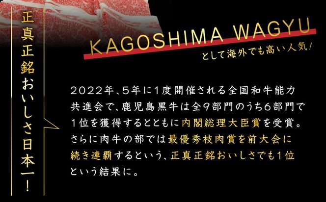 鹿児島県産 黒毛和牛スライス（ブリスケット）500g　K151-001