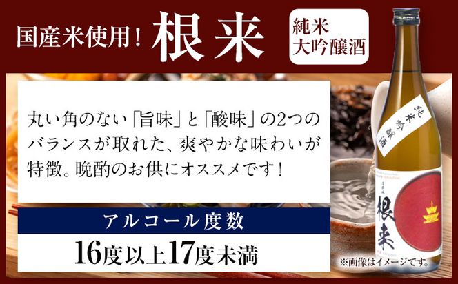 日本城 純米大吟醸酒 純米吟醸酒 根来 飲み比べセット 720ml×2本セット 厳選館《90日以内に出荷予定(土日祝除く)》 和歌山県 日高町 酒 純米吟醸 飲み比べ 1440ml 純米大吟醸酒 純米吟醸酒---wsh_genngjk_90d_22_15000_2p---