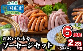 大満足2.28kg!おおいた味力ソーセージセット_1307R