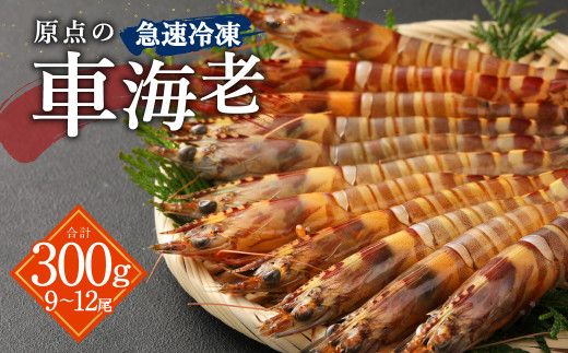 yF{Vsz_̎ԊCV }Ⓚ 300g (9`12) 1pbN 