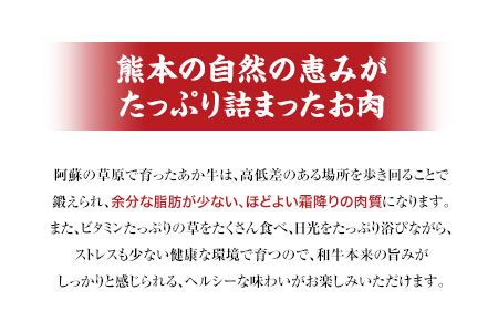 肥後のあか牛（熊本県産）焼肉用1000g 南阿蘇食品 《90日以内に出荷予定(土日祝除く)》 熊本県 南阿蘇村---sms_fmashgyk_90d_24_26000_1kg---