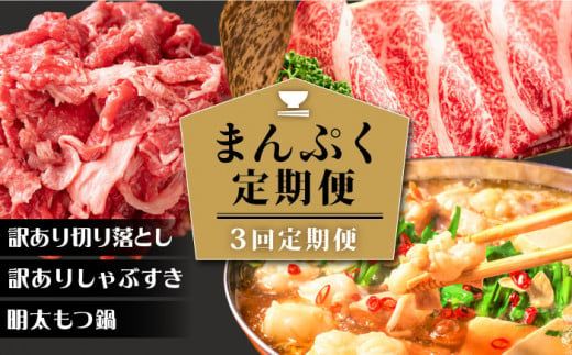 【3回定期便】【大人数のご家庭に】まんぷく定期便《築上町》【株式会社MEAT PLUS】[ABBP113]