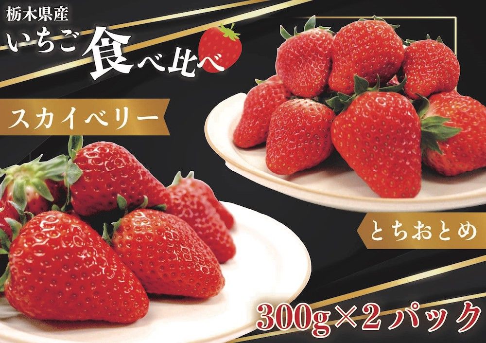 [先行予約・じゅわっと溢れだす] スカイベリー&とちおとめ食べ比べセット600g (12月中旬より順次発送予定)|いちご 苺 フルーツ 果物 産地直送 [0421]