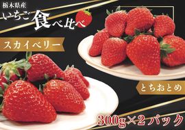 [先行予約・じゅわっと溢れだす] スカイベリー＆とちおとめ食べ比べセット600g (12月中旬より順次発送予定)｜いちご 苺 フルーツ 果物 産地直送 [0421]