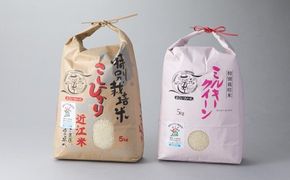 【C-531】【令和6年産　新米】よこいファーム 特別栽培米食べ比べ２種　コシヒカリ・ミルキークイーン　計10kg （各5kg）［高島屋選定品］