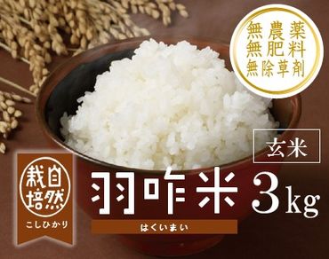 [A017] 【無農薬】【玄米】能登のこだわり自然栽培こしひかり『羽咋米』 ３kg（３kg×１袋）