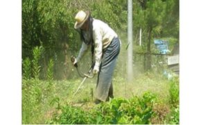 空き家、空き地の草刈サービス（年2回）- シルバー人材センター 除草 草刈り 写真報告 代行サービス 熊本県 甲佐町