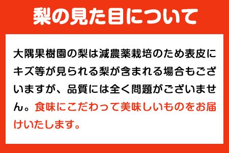 大隅果樹園の玉東梨(旬の品種をお届けします) 約5kg(13-20玉前後) 予約受付中 フルーツ 秋 旬 熊本県玉名郡玉東町 《8月中旬-9月上旬頃出荷》---sg_coosuminasi_g8_25_13000_5kg---